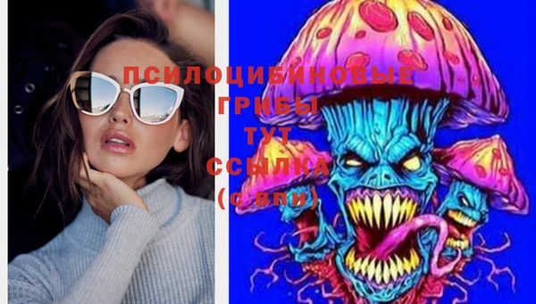 стафф Верхний Тагил